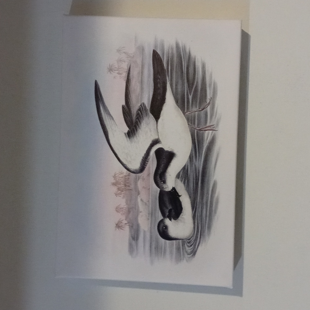 Design painting 12 x 8
